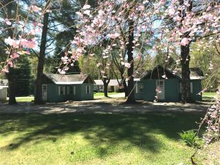 Pine Valley Cabins - Thornton - 0