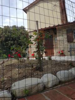 La Casetta della letizia - Colle - 8