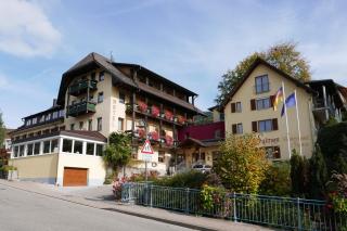 Landhotel Salmen - Oberkirch - 0