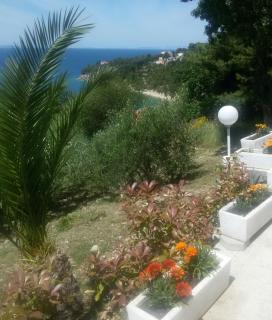 Apartments Duro - Stanići - 5