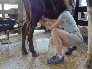Hotel Rio Celeste Finca L´ Etoile Celeste - 5