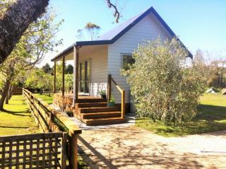 Mirror Creek Holiday Cottage - Ruatapu - 0