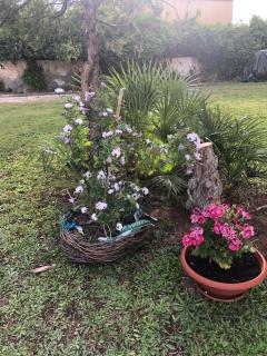La Lantana Nuova - 8