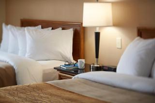 Comfort Inn Timmins - Timmins - 5