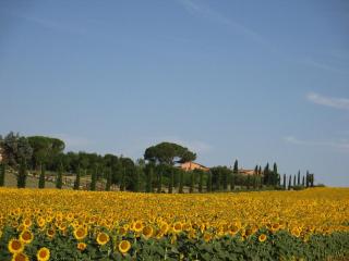 Le More E I Gelsomini - Villastrada - 6