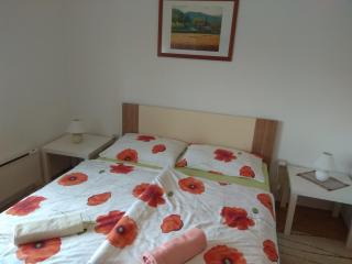 Apartments Country House Stipica - Tuheljske Toplice - 4