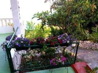 Apartman Kristin - Podaca - 8