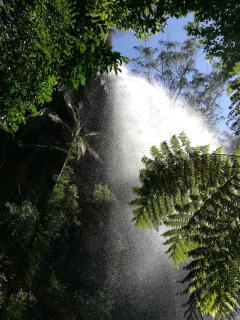 Springbrook Storybook - Springbrook - 0