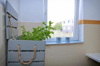 Apartman Charlie - Vrsi - 3