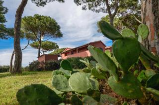 Camping Village Bocche D'Albegna - Albinia - 8