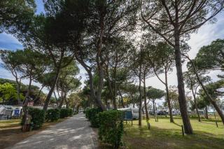 Camping Village Bocche D'Albegna - Albinia - 5