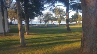 Darinka - Ulcinj - 8