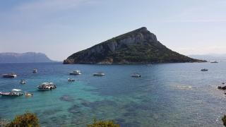 Residence Cala Moresca - Golfo Aranci - 6