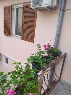 Hostel Corner 021 - Novi Sad - 3