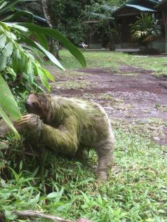 Hotel Rancho Las Cabañas - 2