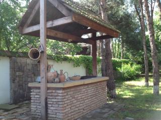 RARE house with garden - Tbilisi - 6