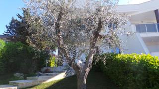 Casa Riccardo Urban B&Bio - 5