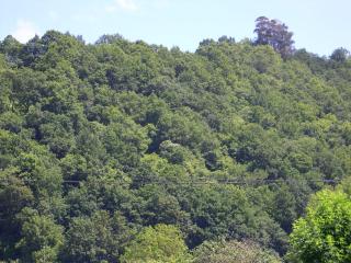 Apartamento en Contranquil - Cangas de Onís - 4