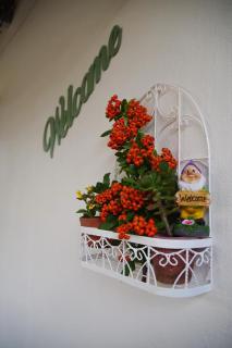 Aalkie's Dream - Swellendam - 3