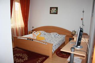 Pensiunea Claudiu - Caransebeş - 8