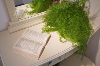 Вили Алекс - 1