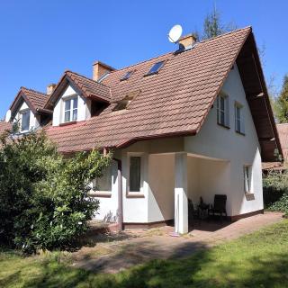 Mandarynkowy - Dębki - 5