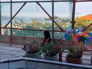 A Casa Di Silvy - Triest - 9