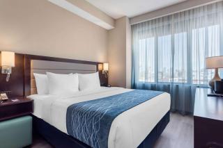 Comfort Inn Prospect Park-Brooklyn - 1