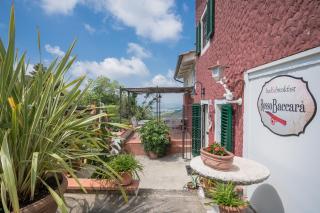 B&B Rosso Baccara - Montevettolini - 9
