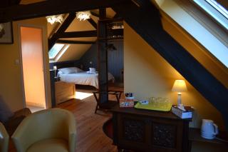 Le gîte de l'Araucaria - 6