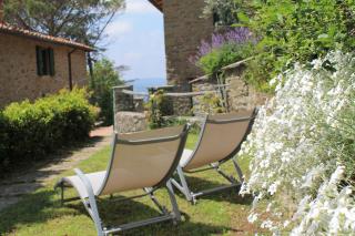 Podere I Rovai-apt IL RIFUGIO- in the heart of Tuscany - Reggello - 7