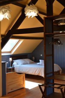 Le gîte de l'Araucaria - 5