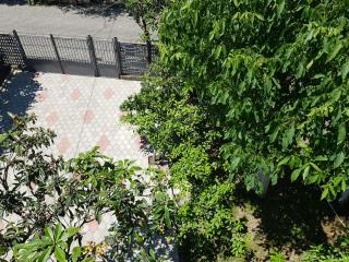 Guest house IMERELI - 9
