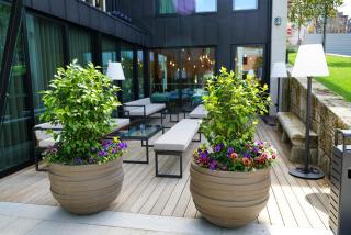 Castelo Hotel - Chaves - 4