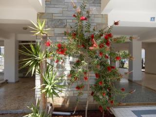 Sunshine Apartment - Paralia Dionysiou - 7