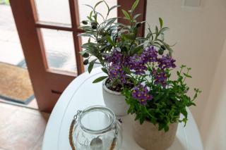 Alte Schule unter Reet- Klassenzimmer - 7