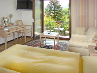 Hotel Al Fiume - Tegna - 7