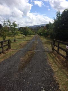 Tekoa Lodge Raurimu - Raurimu - 7