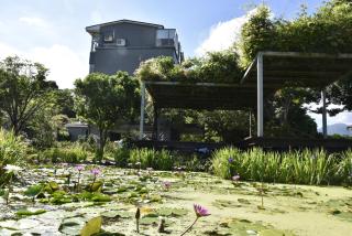 Rainbow Bridge B&B - Sanzhi - 3