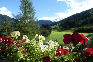 ZITTRAUERHOF - Urlaub am Bauernhof Gastein - 7