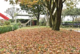 Rainbow Bridge B&B - Sanzhi - 1
