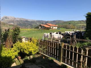 Vitori's House Tourist Accommodation - Ahedo - 2
