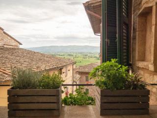 Domus Flora Guest House - 2