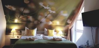 Hotel Am Fleesensee - Malchow - 5