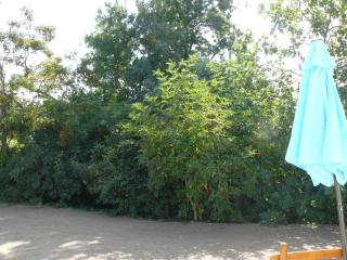 Les Plénitudes du Rivage - 4