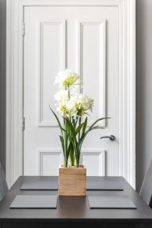 Spacious newly refurbished central apt - Edinburgh - 3