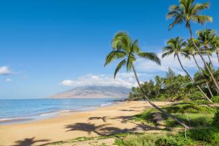 Kauhale Makai 506 - Kihei - 7