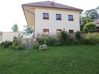 Ubytování Praschlhaus - Horní Planá - 7