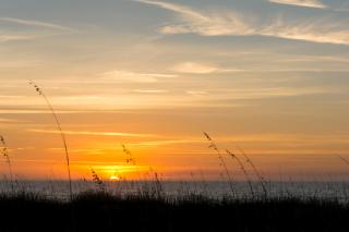 Saint Andrews Common 1774 - Hilton Head Island - 2