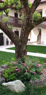 B&B Vidmar, Lesce-Bled - Lesce - 8